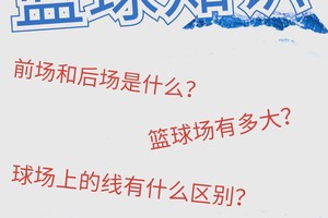如何快速提升新手篮球玩家的反应能力?两种高效方法对比与推荐